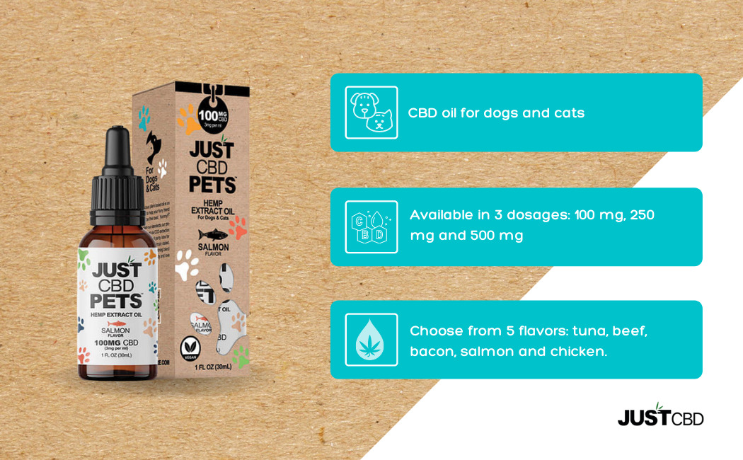 infografía aceite de cbd de salmón para mascotas