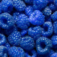 Blue Razz